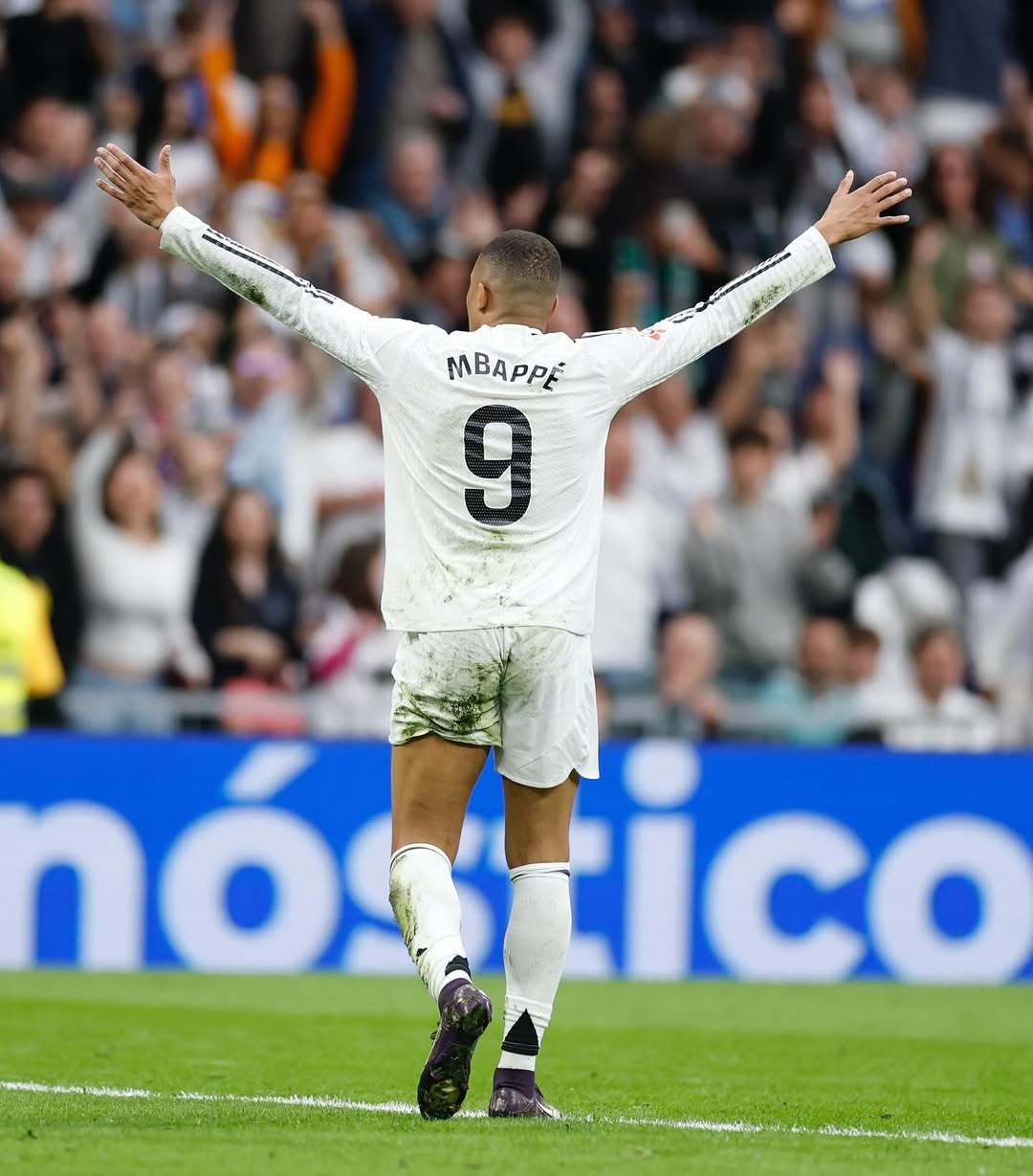 阿根廷电视台报道养老金诈骗案，加斯佩里尼意外成为乌龙主角